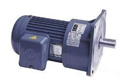 G小齒輪馬達(dá)