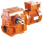 S斜齒輪蝸桿減速機(jī)